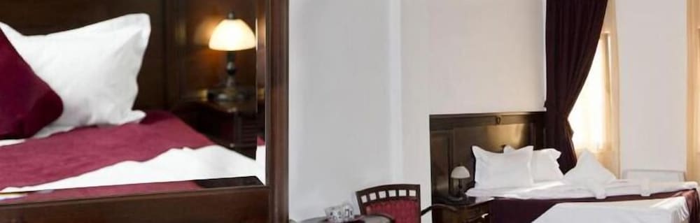 Hotel Hanul Domnesc — Sacele — photo 3