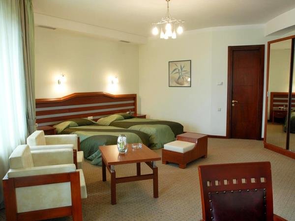 Hotel Vedzisi