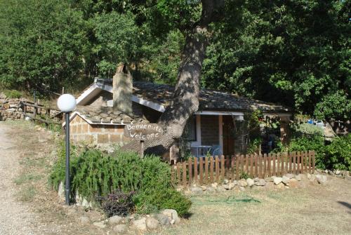 Azienda Agricola Biologica La Cardellina — Tolfa