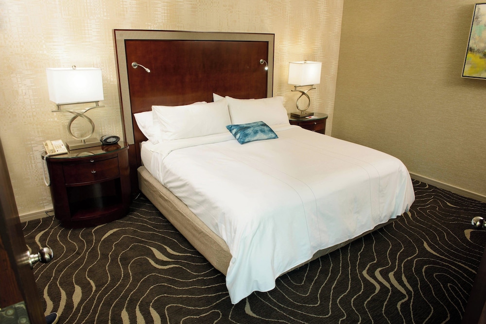 Marriott Rochester Mayo Clinic - photo 18