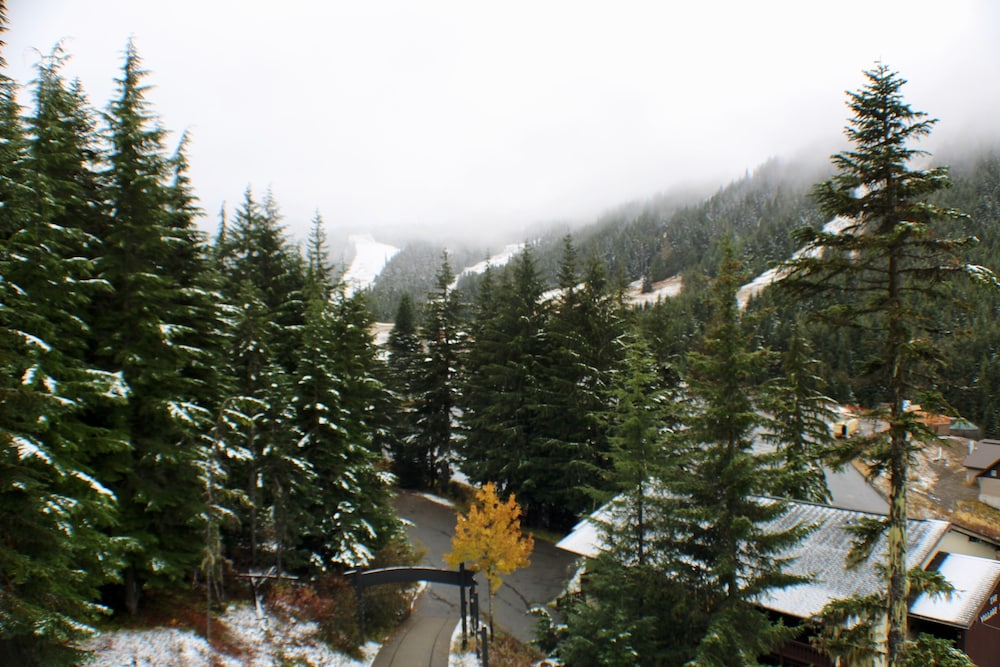 Crystal Chalets Condominiums at Crystal Mountain Ski Resort - photo 169