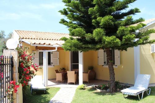 Jasmin Skidi in Agios Matthaios, Greece