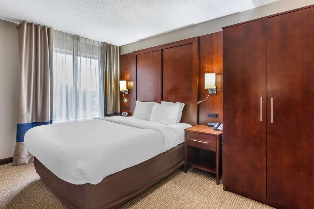 Comfort Inn & Suites Conway - photo 8