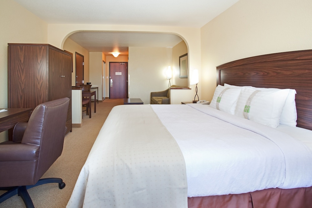 Holiday Inn Denver Parker E470 Parker Road by IHG - photo 8