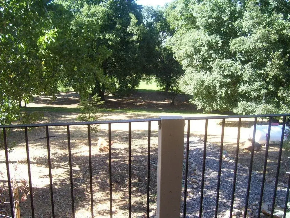Hotel Charlotte Vacation Rentals - photo 46