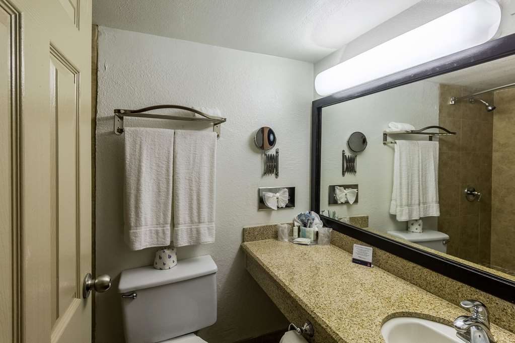Clarion Inn near McAllen Airport - photo 13