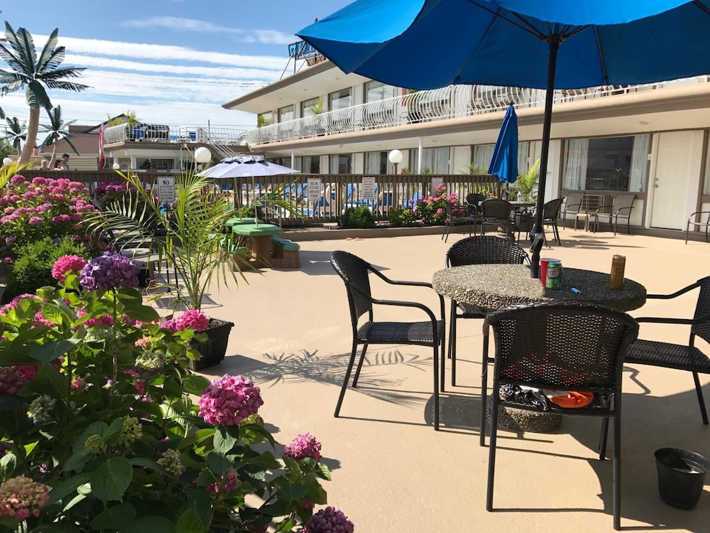 Pyramid Resort Motel - photo 16