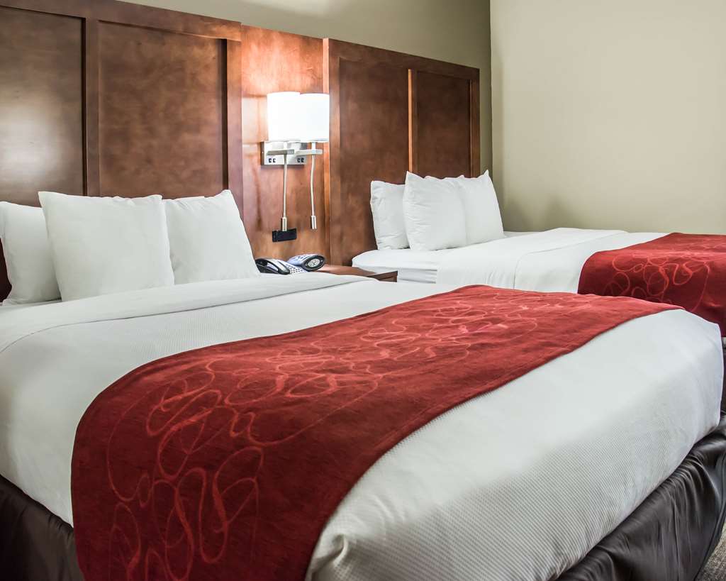 Comfort Suites University Research Park - photo 12