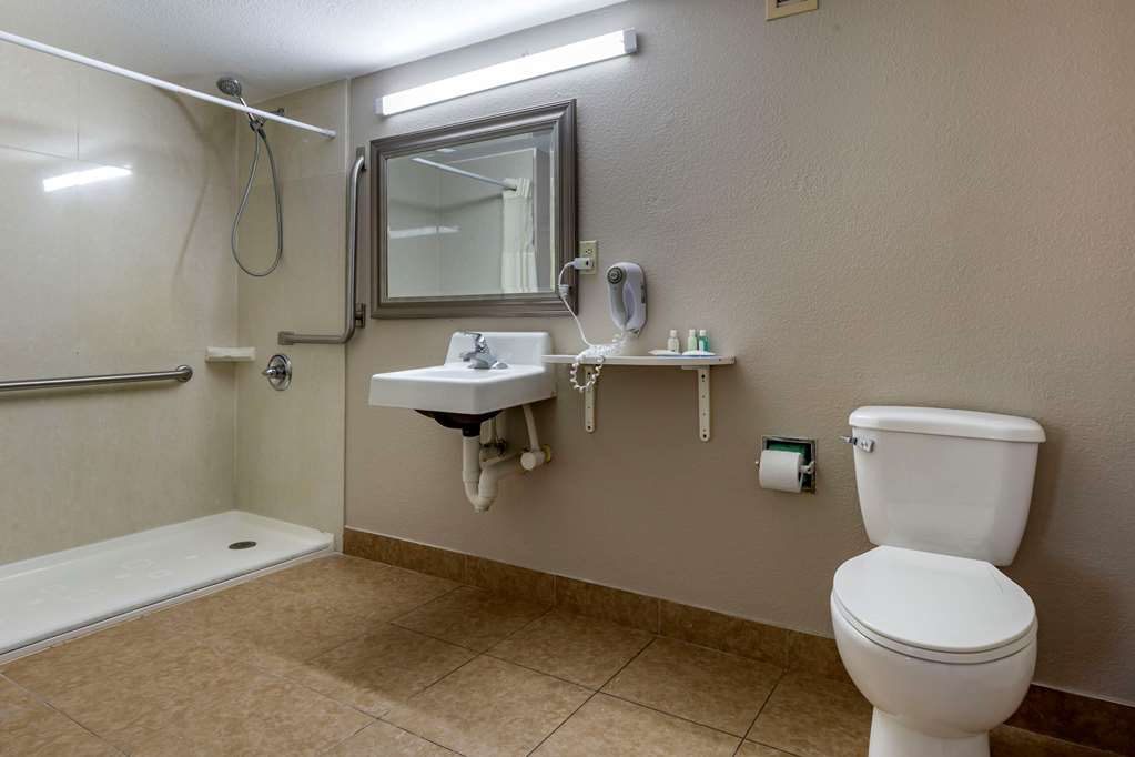 Quality Inn Duncan Spartanburg West - photo 13