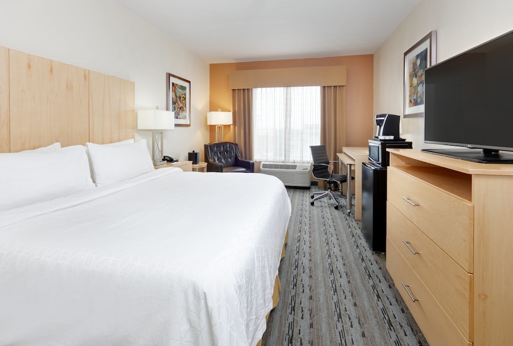 Holiday Inn Express & Suites San Antonio Brooks City Base by IHG - photo 6