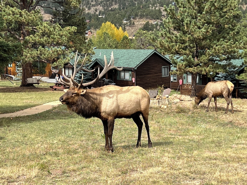 Mountain Shadows Resort - photo 22