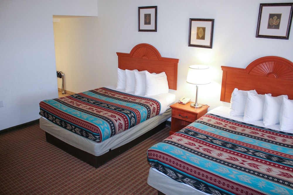 The Classic Desert Aire Hotel - photo 6