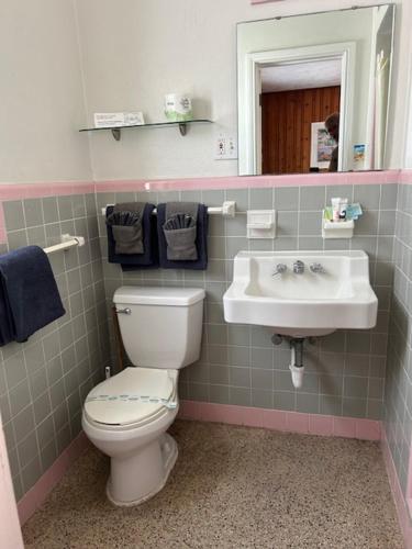 Seahorse Inn - photo 41
