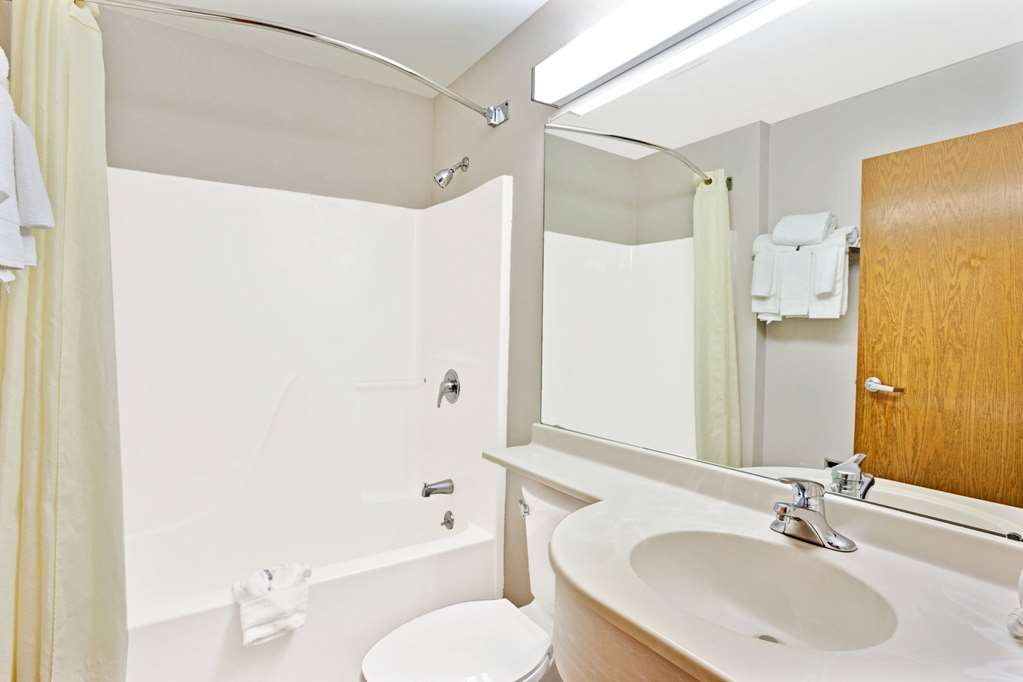 Microtel Inn & Suites by Wyndham Roseville Detroit Area - photo 8