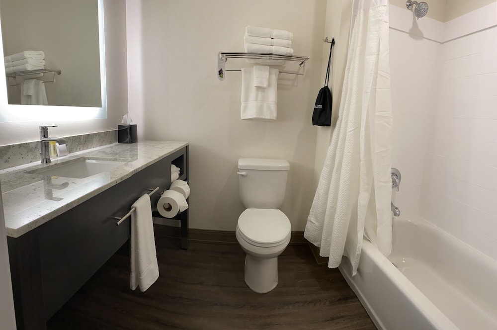 Simple Suites Boise Airport - photo 17