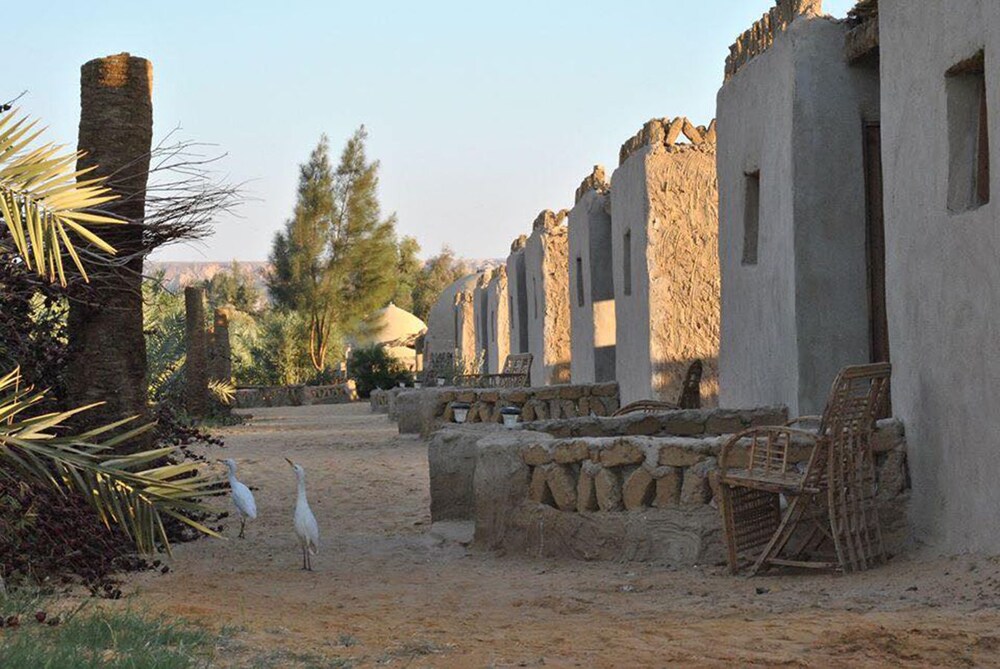 Le Jardin Sous la Lune in Al Bawiti, Egypt