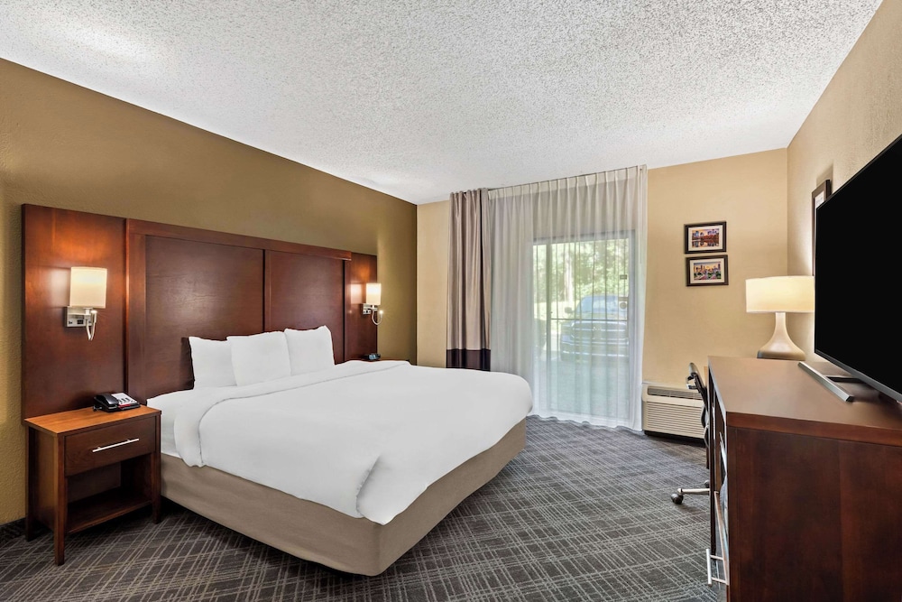 Comfort Inn Roswell Dunwoody - photo 8