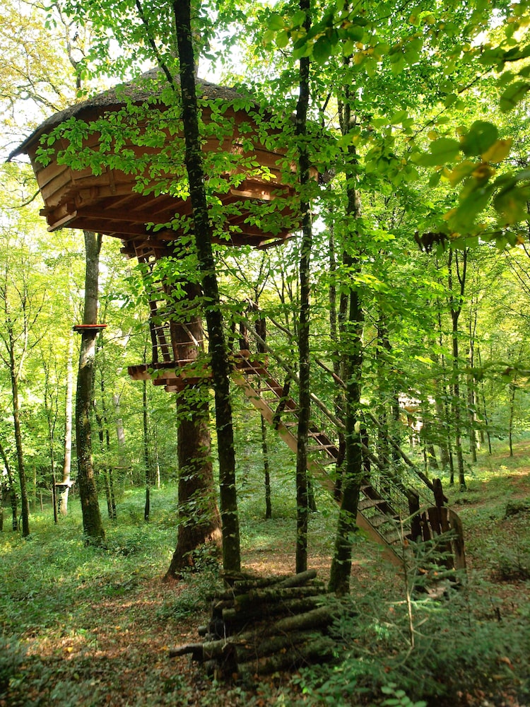 L’Arbre à Cabane — Melay — photo 4