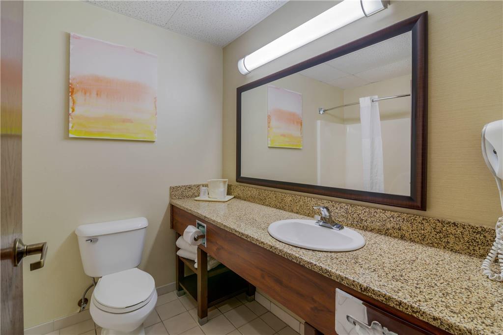 Comfort Inn Bismarck - photo 8