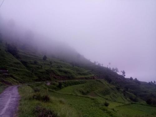 The Himalayan meadows — Naini Tal — photo 2
