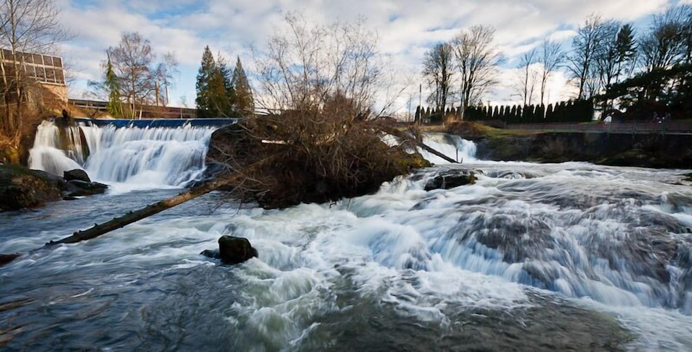 Comfort Inn Conference Center Tumwater Olympia - photo 51