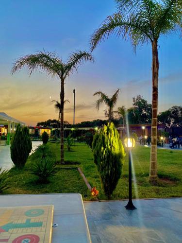 Complex Amazon Guercif in Guercif, Morocco