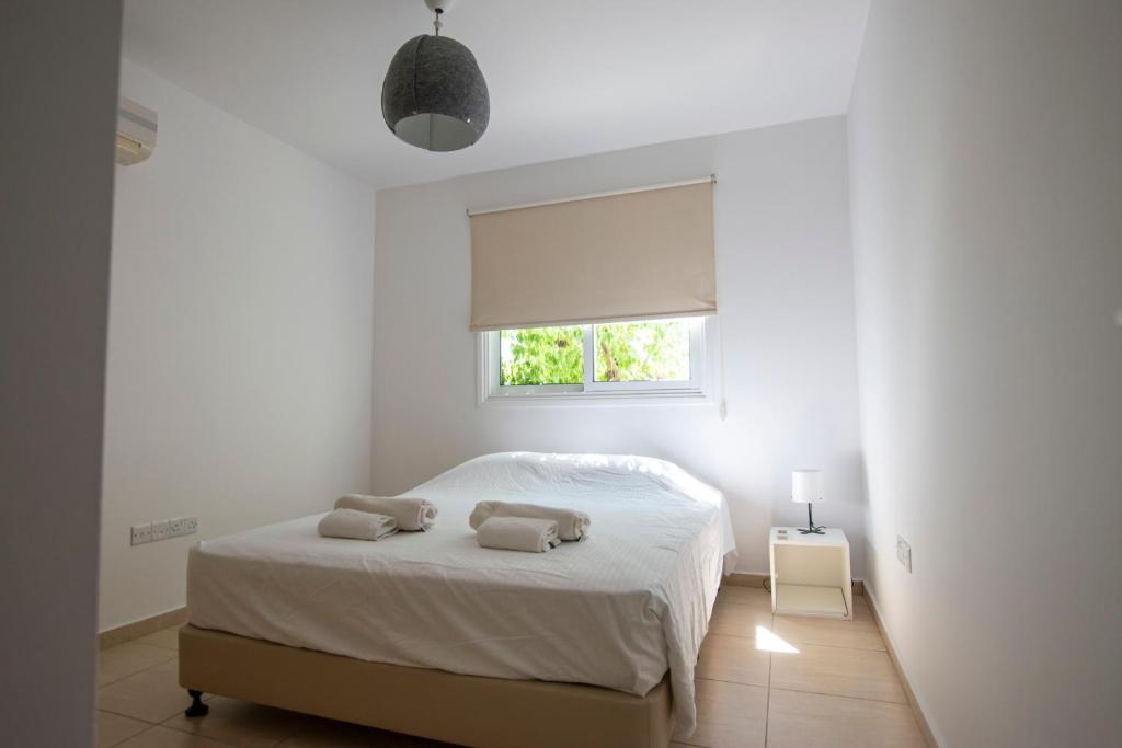 Glabur Stays The Master Atelier Nicosia City Free Parking & Wifi Welcomes You