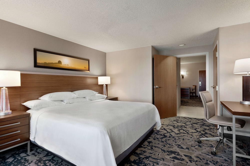 Embassy Suites by Hilton Dallas DFW Airport North - photo 17