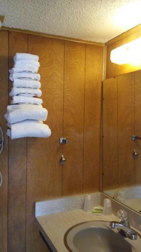 Towne Center Motel - photo 53