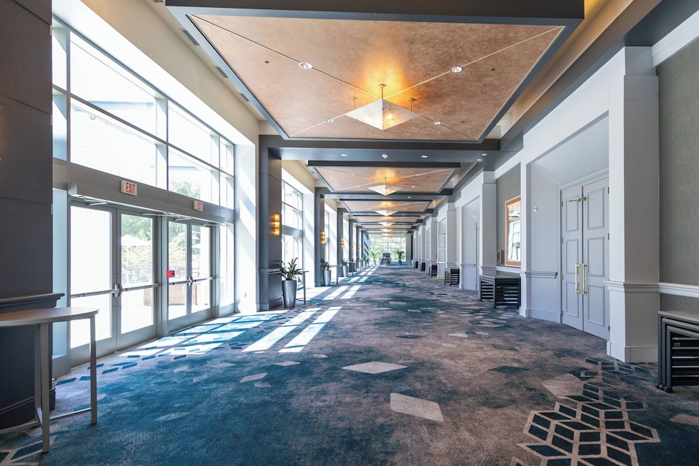 Bethesda North Marriott Hotel & Conference Center - photo 57