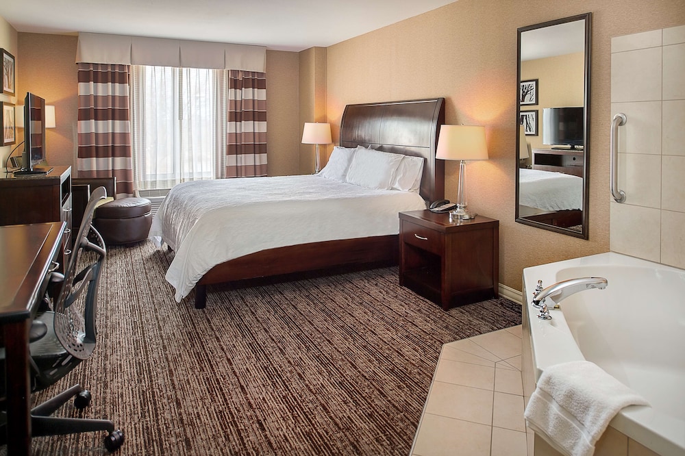 Hilton Garden Inn St. Louis Airport - photo 13