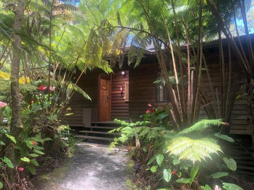 Volcano Inn - photo 102