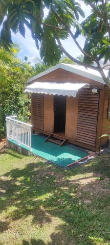 Colibris in Sainte-Rose, Guadeloupe