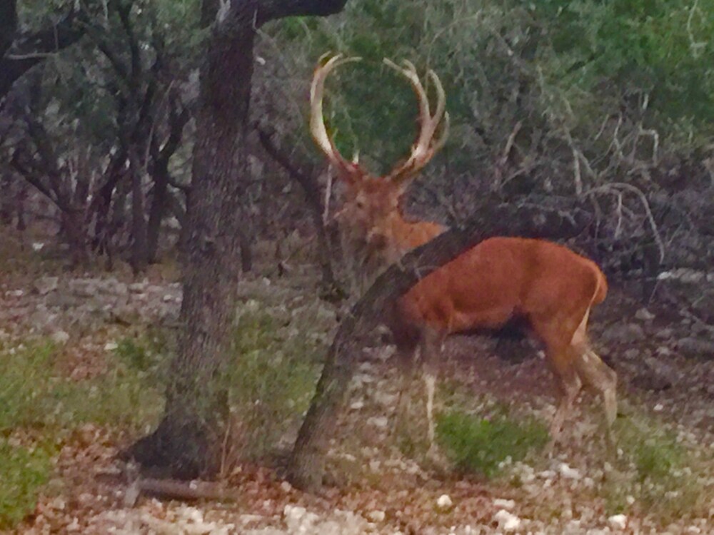 Glory Hills Ranch - photo 35