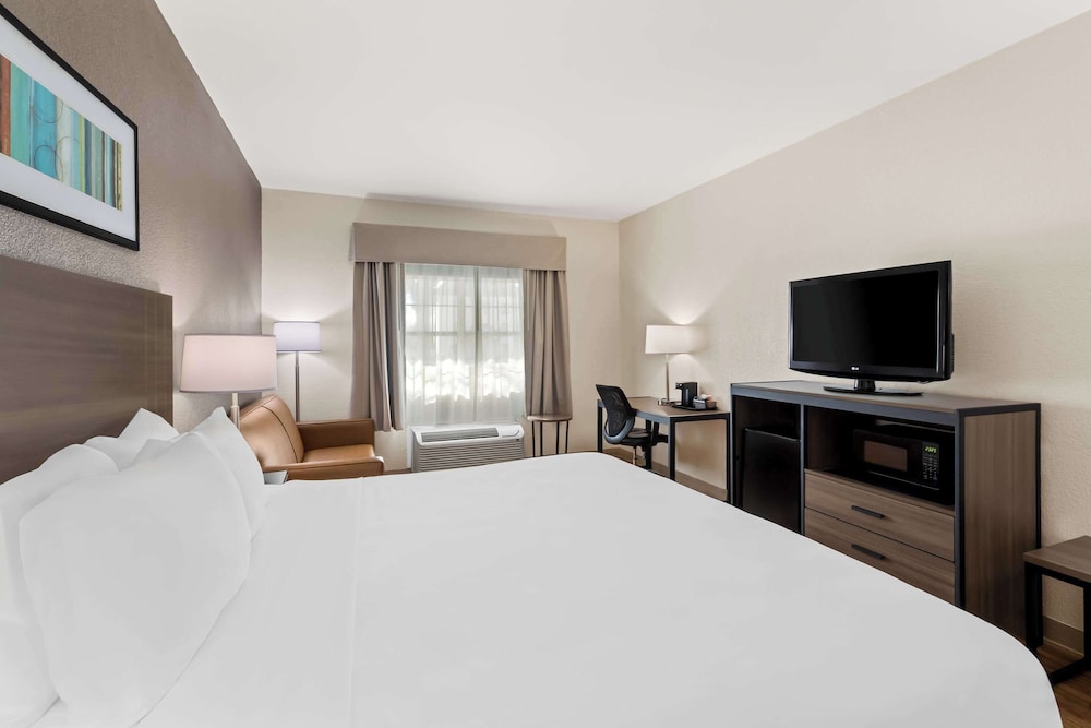 Quality Inn Fayetteville near Historic Downtown Square - photo 18