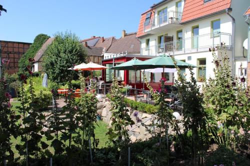 Turmfalke — Bad Suelze — photo 3