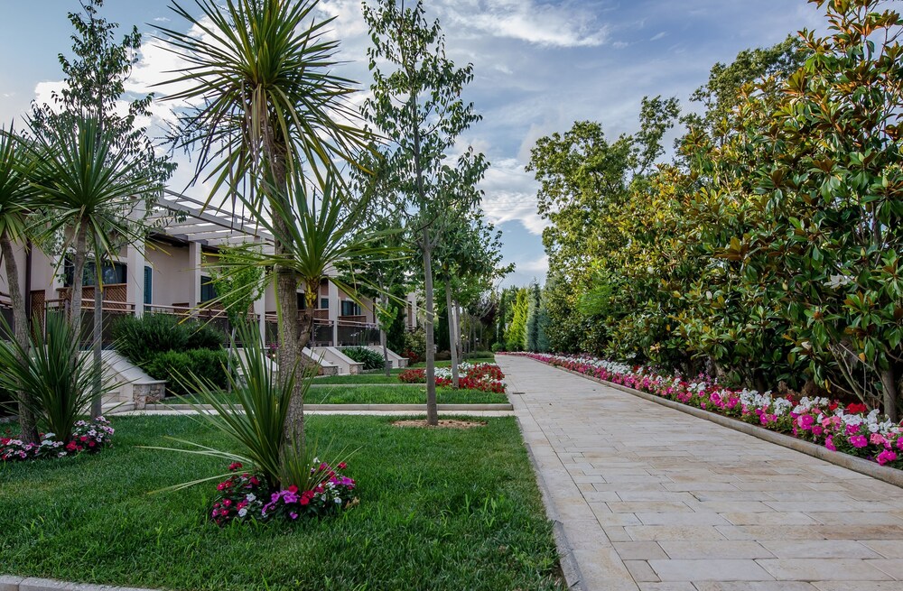 שטחי חוץ / גן