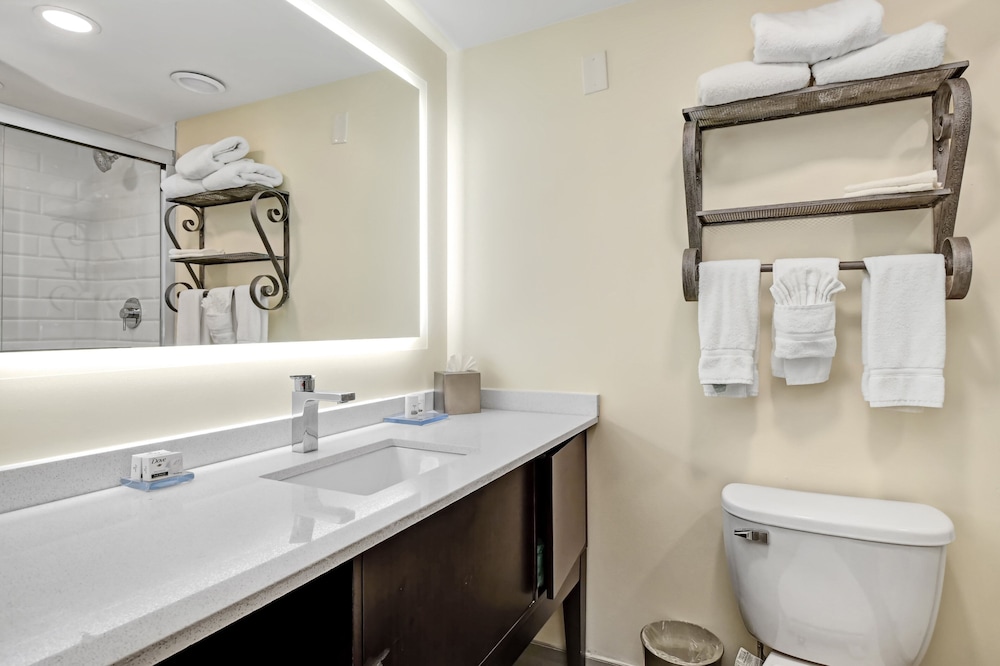 Holiday Inn Piscataway Somerset by IHG - photo 24