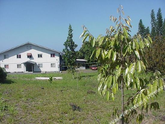 Halemalu - photo 9