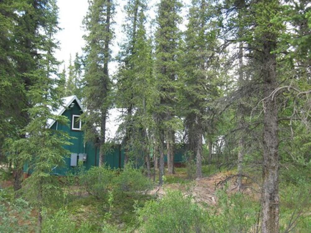 Denali Perch Resort - photo 31