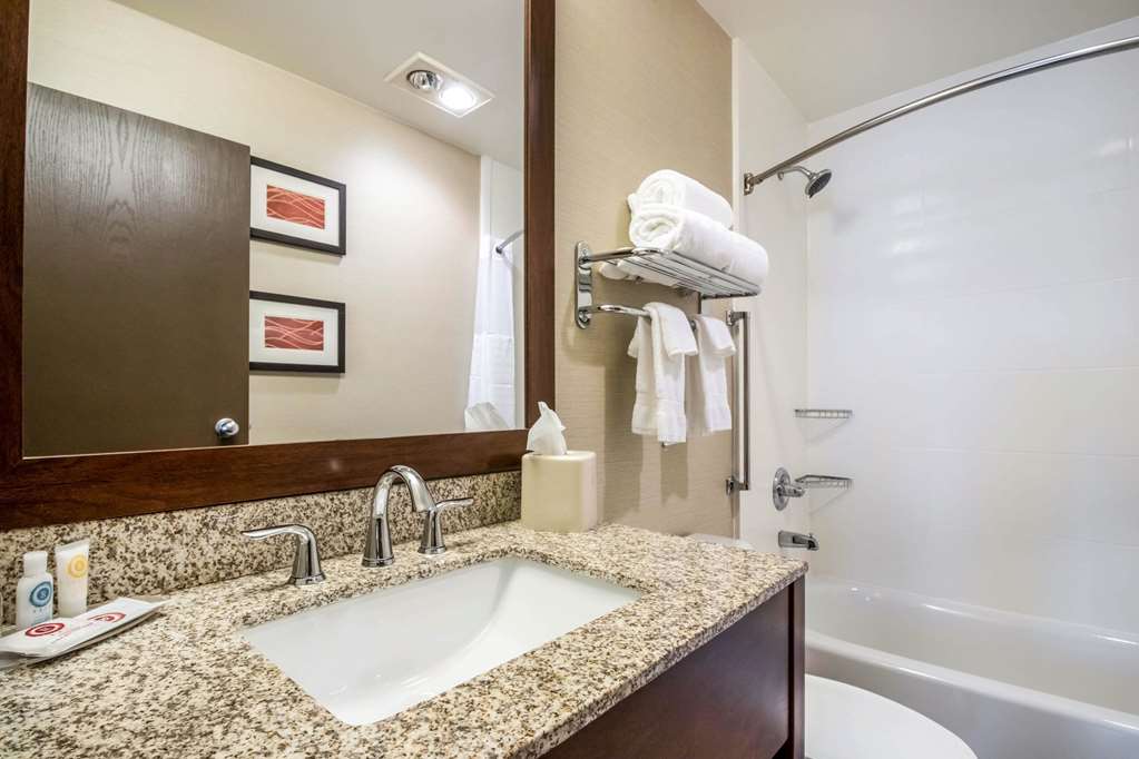Comfort Inn Ottawa Starved Rock Area - photo 21