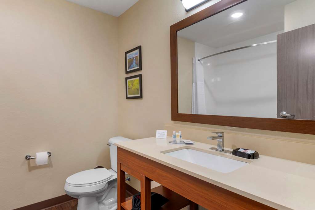 Comfort Inn & Suites North Mankato - photo 25