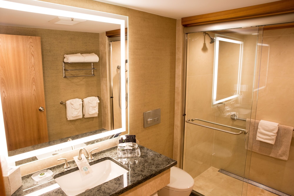 Golden Arrow Lakeside Resort - photo 17