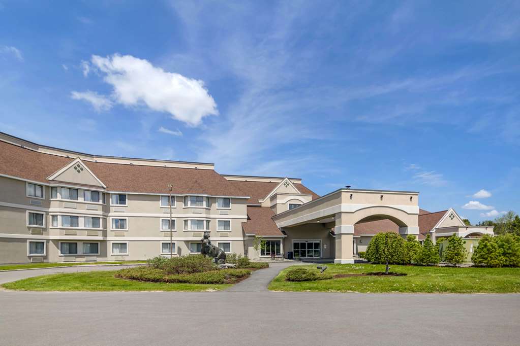 Black Bear Inn Ascend Hotel Collection - featured photo