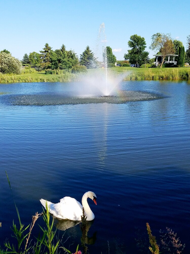 Grand Hinckley Inn - photo 24