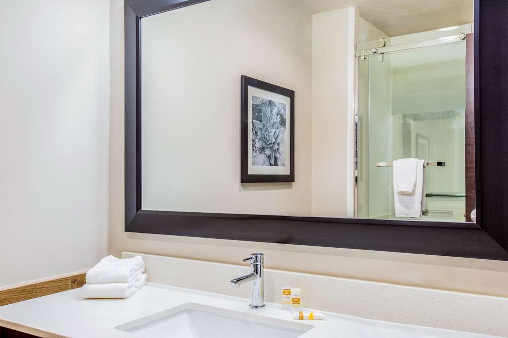 La Quinta Inn & Suites by Wyndham McAllen Convention Center - photo 19