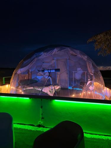 Bubble World Wild Love — Adelfia — photo 2