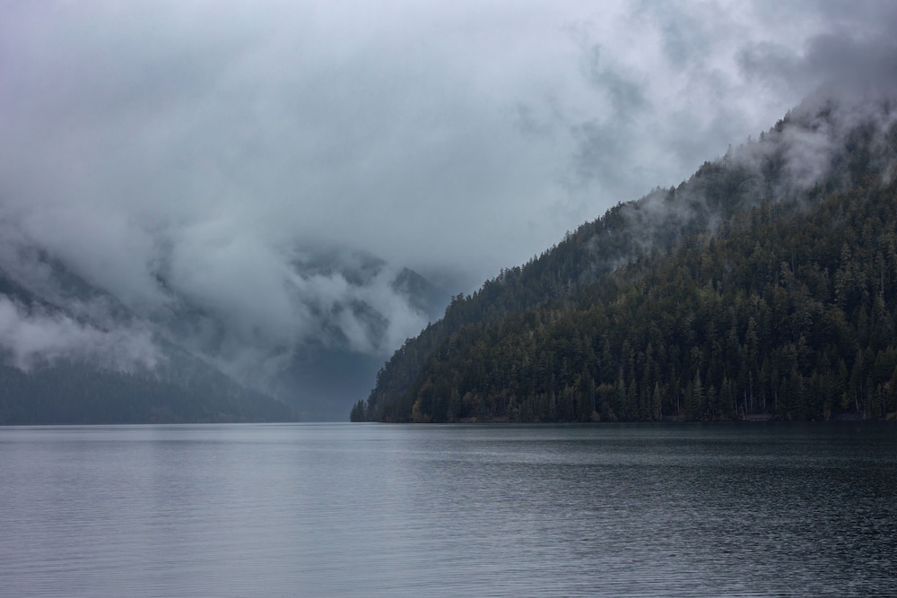 Kalaloch Lodge in Olympic National Park - photo 19
