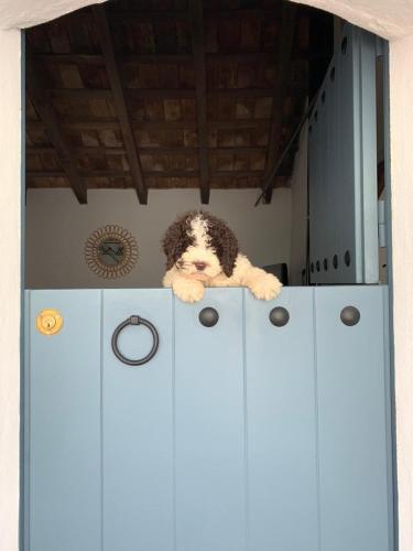 La Puerta Azul — hotel in Bornos