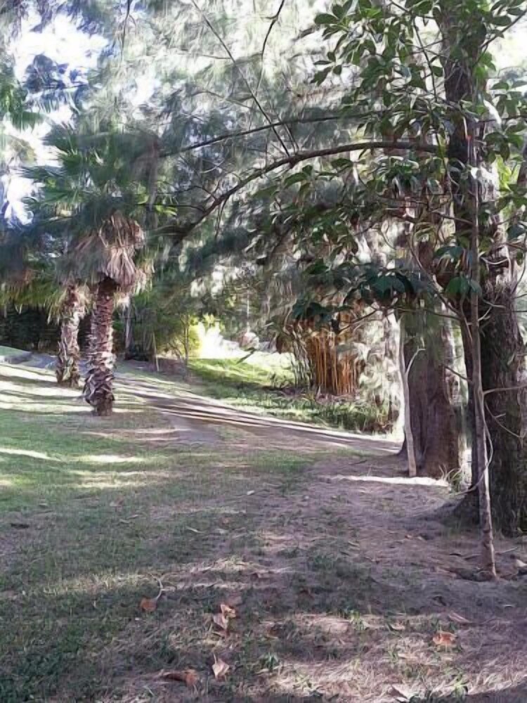 Hale Kukui Orchard & Cottages - photo 38